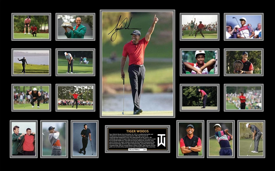 TIGER WOODS SIGNED LIMITED EDITION FRAMED MEMORABILIA - image 2 of 2