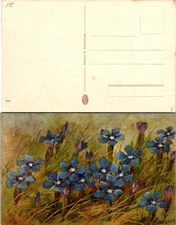 Colorful Blue Flowers Postcard - Artistic Floral Image Swiss Style