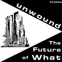 Unwound - Future Of What - Vinyl Record 12 Record - E3447Z