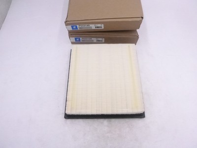 2 Pack Donaldson Air Filter Panel  P622149 For Ford 7C3Z9601A