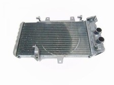 Radiateur Mg F