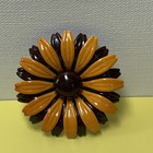 Picture 12 of 12