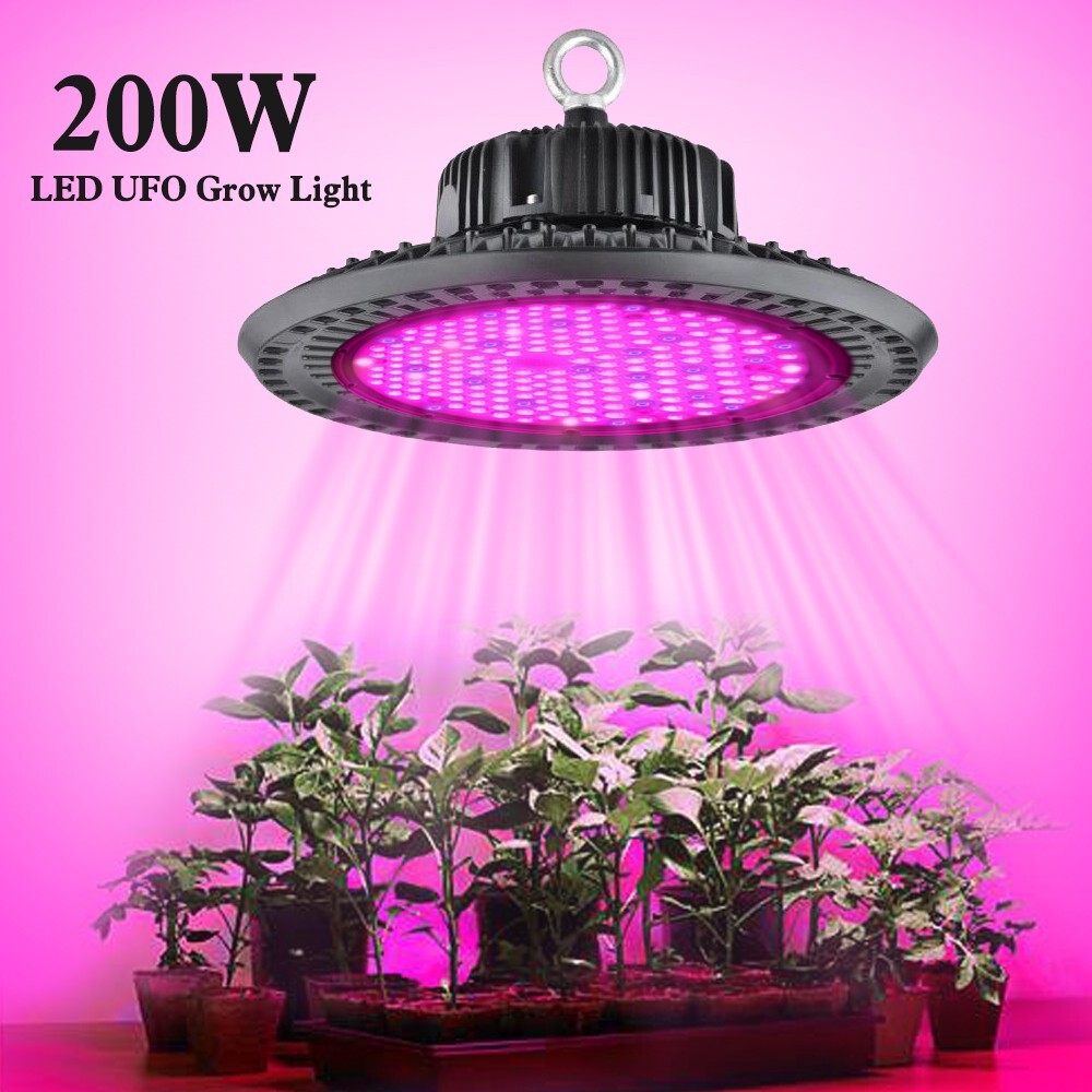 For Indoor Plants