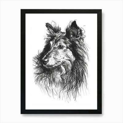 Shetland Schäferhund Hund Linie Skizze 2 gerahmte Wandbilder Poster Leinwanddruck Bild