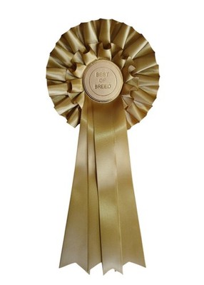 Best of Breed Rosette in Gold 3 Schwänze 2 Etagen große Rosette Hundeausstellung offene Veranstaltung