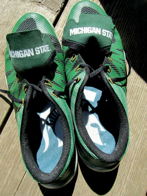 msu 'free trainer 5.0