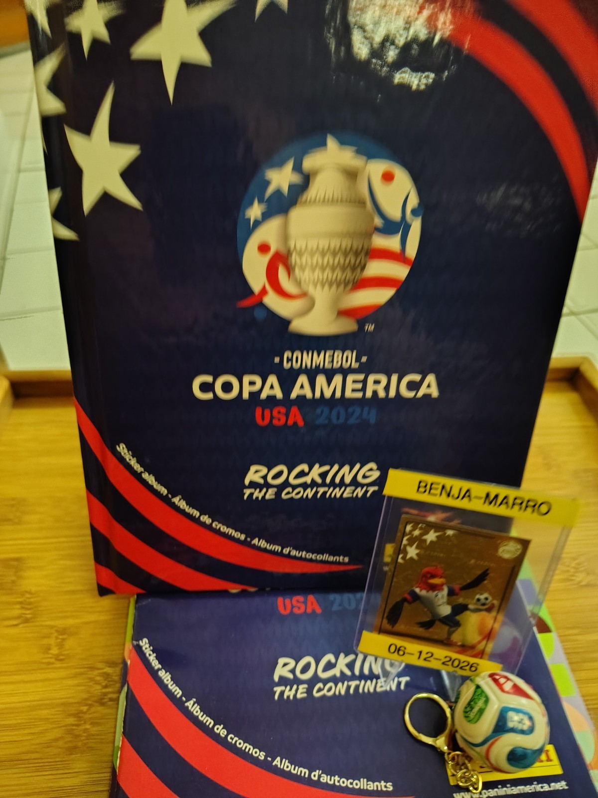 Panini Copa America USA 2024  Album Hard Cover Soccer Original Empty Collectible