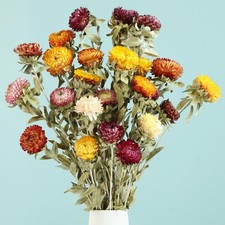 20 PCS Natural Dried Daisy Flowers Bouquet Multicolor Fall Decor DIY Craft