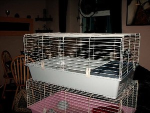 ferplast 100 rabbit cage