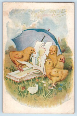 c1905 Easter Little Chicks Book Umbrella Hatched Egg Flowers Antique Postcard