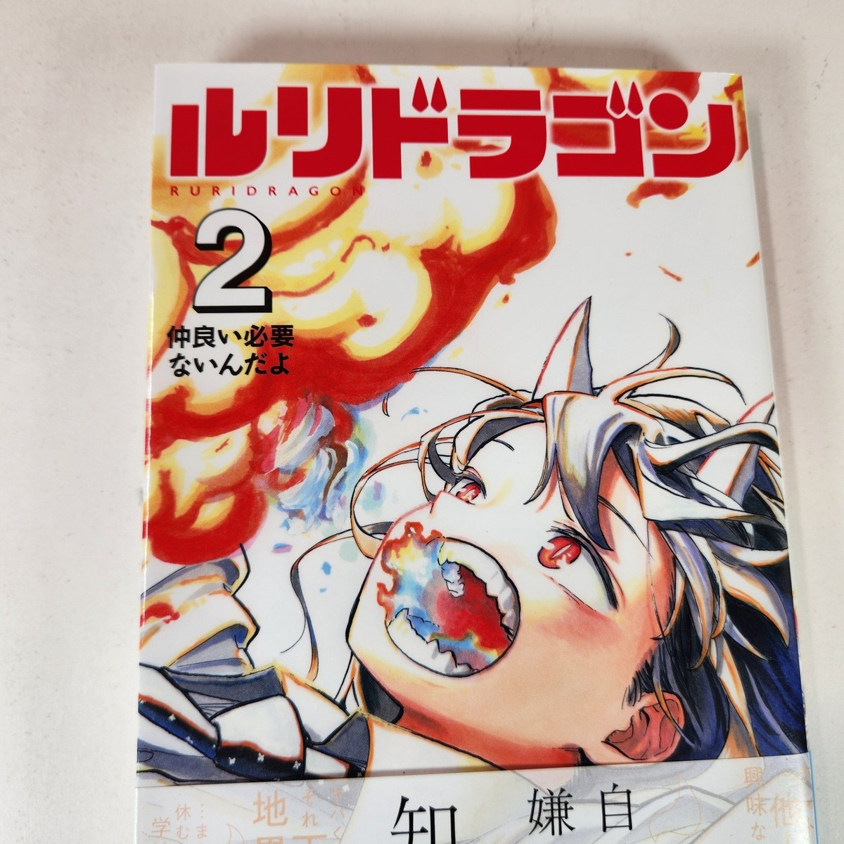 RuriDragon Vol. 2 Manga Japanese Language Ruri Dragon 2024 Volume