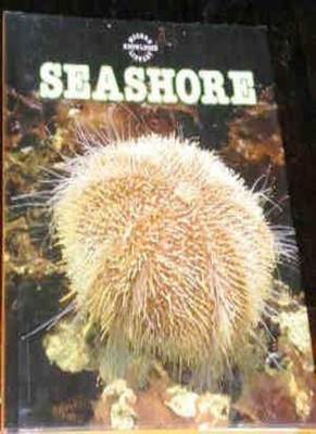 SEASHORE, MODERN KNOWLEDGE LIBRARY,DAVID LAMBERT