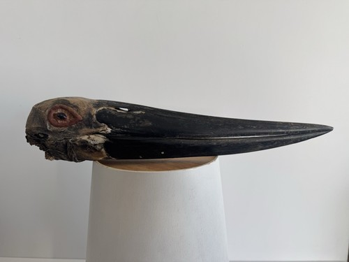 Taxidermie Skelett bemalt Marabu Storch - Leptoptilos Krümmer