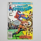 The Amazing Spider-Man #221 NS Oct 1981 Marvel Comics FN/VF 7.0 Ramrod D O'Neil