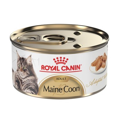 Royal Canin Feline Breed Nutrition Maine Coon Adult Thin Slices in Gravy,3oz,24c