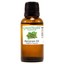 thumbnail 52 - Essential Oils - 30 mL (1 oz) - 100% Pure Therapeutic Grade Oil - 60+ Options!