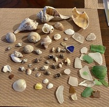 gem sea glass and shells variety some the tinest SEE PICS Some great 4 Jewelry