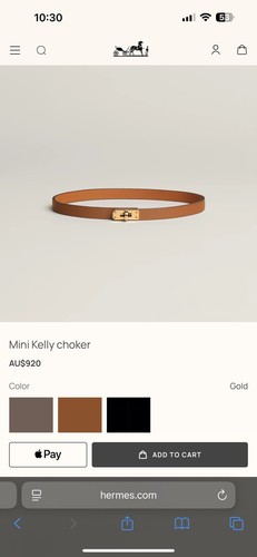 Hermes’ Mini Kelly Choker