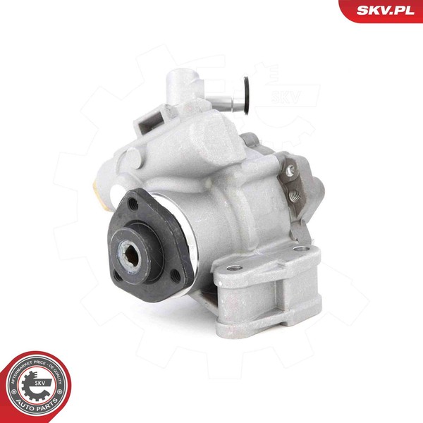 Esen SKV Servopumpe Hydraulikpumpe Servolenkung FüR Mercedes-Benz E-Klasse-image