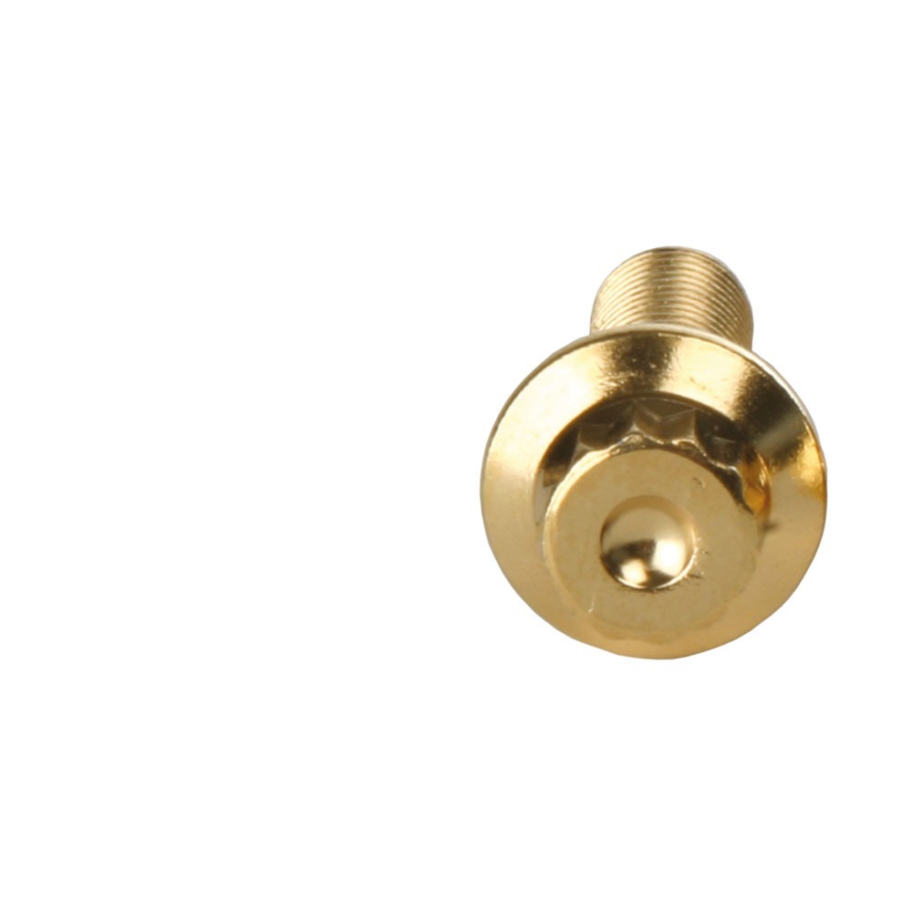 136 Screws M7x24 Stainless Goldlook for BBS Rial Schmidt O.Z. Dynatech Carline Wheels