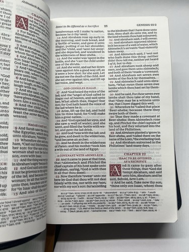 KJV/ The Holy Bible 2021 - 第 9/11 張圖片