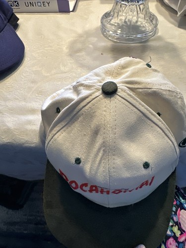 Disney's Pocahontas Premiere In The Park 1995 Vintage Metal Buckle Closure Hat - Picture 7 of 8