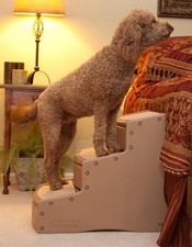 Pet Gear Easy Step III Extra Wide Stairs, Camel
