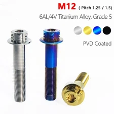 M12 Twin Drive Titanium Bolt Flange Head Torx Screws T50 for Motorcycle Tuning