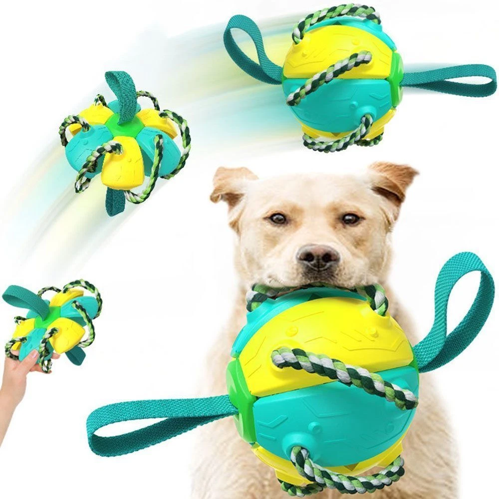 Dog hot sale exercise toys