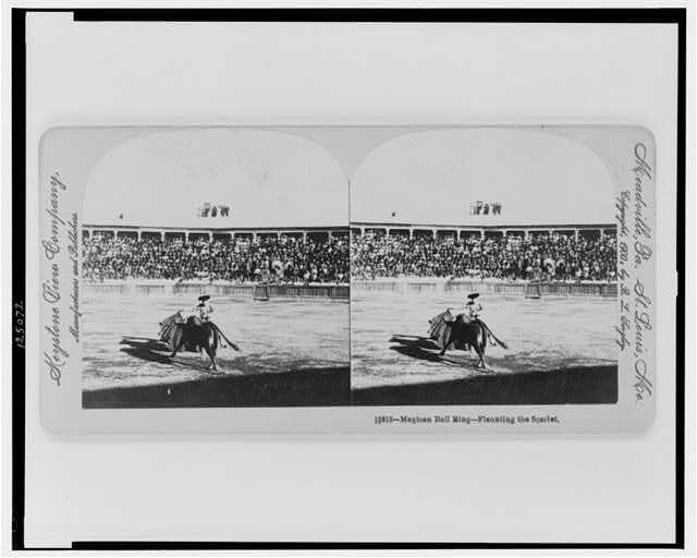 Mexican Bull Ring--Flaunting the  scarlet,c1900,Bullfighting,Mexico,Reproduction