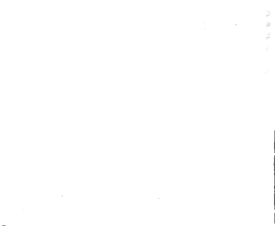 Celebridades individuo Finlandés sellos