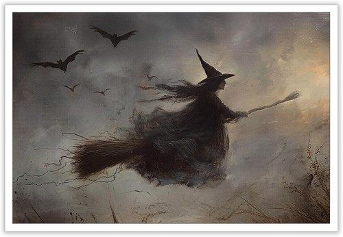 Flying Witch Decorative Art Print Poster 17 x 12