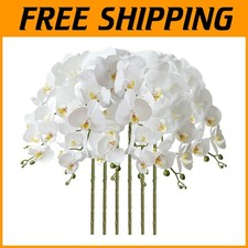 Set of 6 White Orchid Flowers Stems 32" for Home D cor