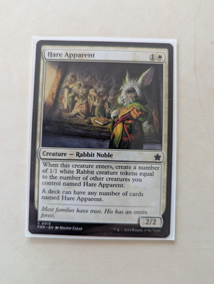 Hare Apparent Foundations Regular