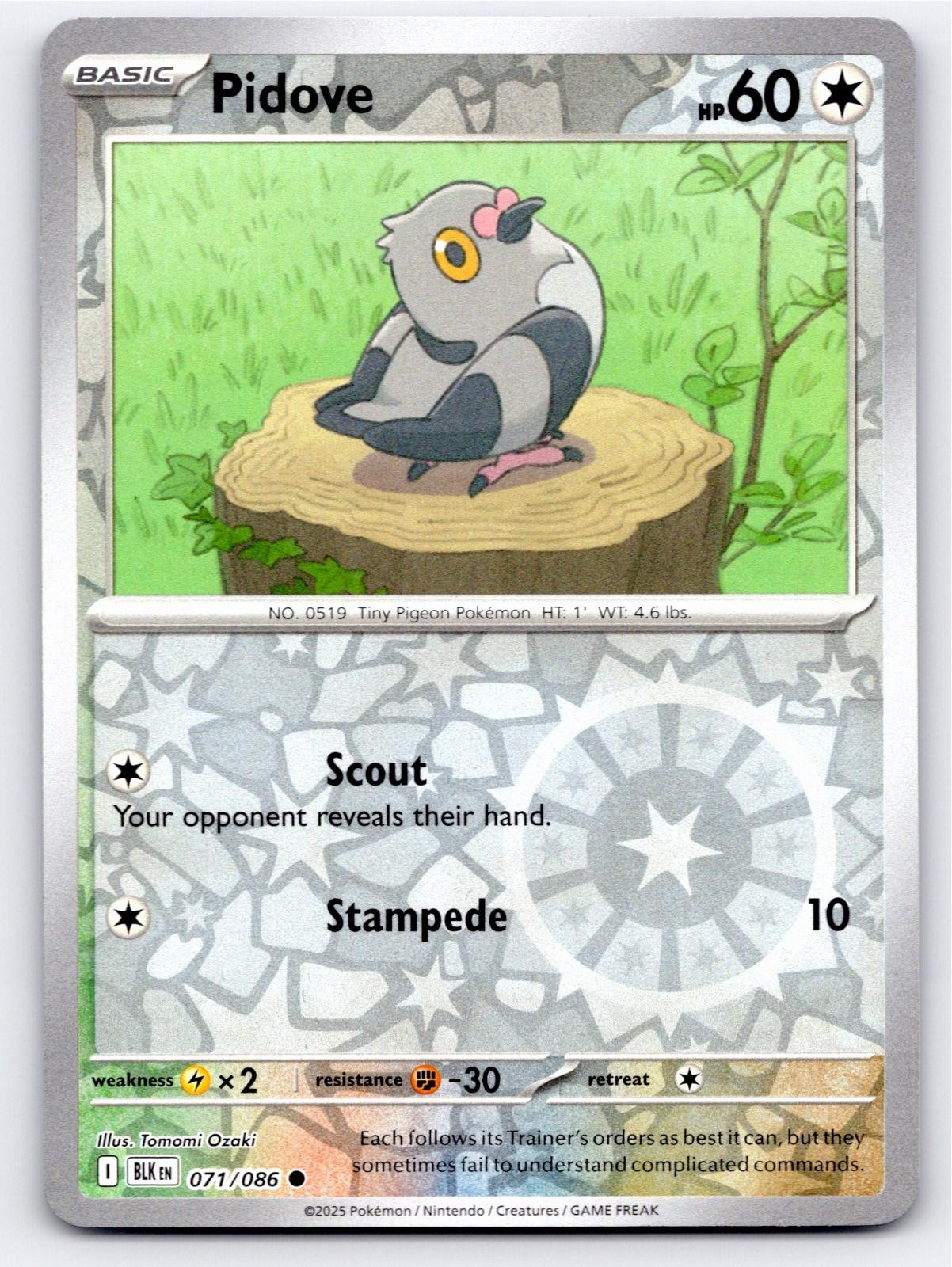 2025 POKEMON PIDOVE BLACK BOLT 071/086 REVERSE HOLO C NM A55497 FREE S&H
