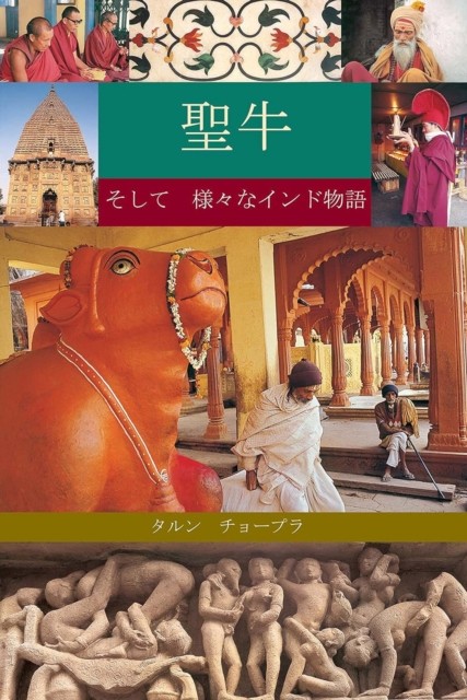 The Holy Cow & Other Indian Stories by Tarun Chopra (Paperback Book)