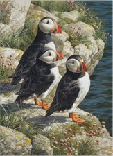 Cobble Hill Fisherman’s Wharf puzzle 500 pezzi di Carl Brenders