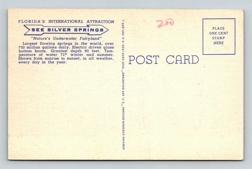 Silver Springs, FLFlorida Glass Bottom Boat Vintage Souvenir Postcard