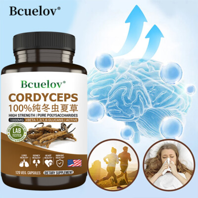 Cordyceps Sinensis 1000mg - Asthma Husten Bronchitis Lunge Immunsystem