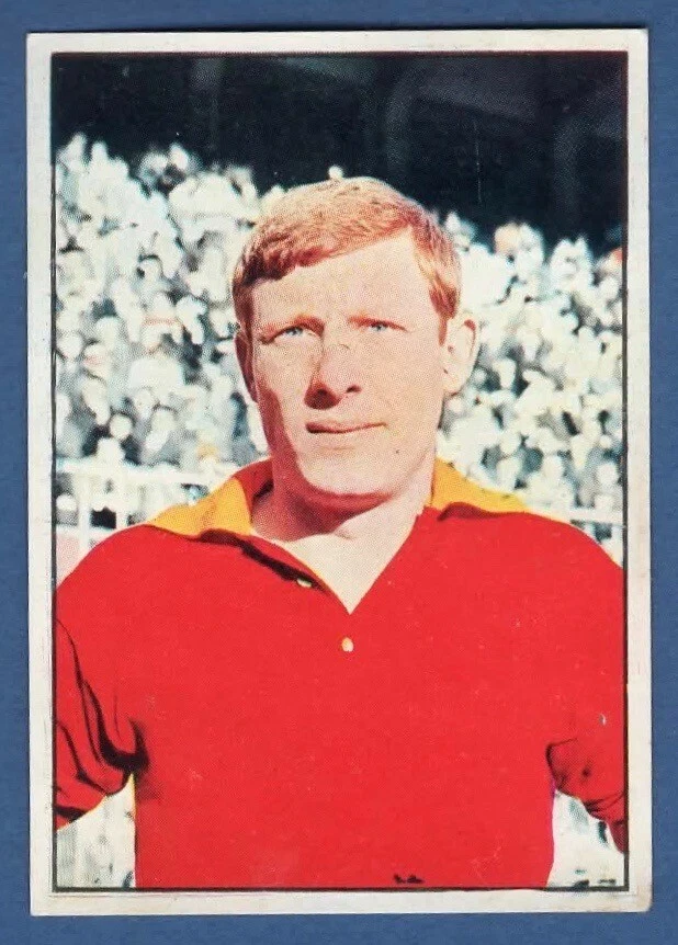 Pelè figurina panini 1965-66 retro valida - Collezionismo In vendita a Roma