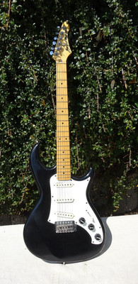 E Gitarre Aria Pro II RS Spezial V