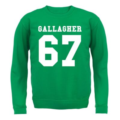 Gallagher 67 - Adult Hoodie / Sweater - Concert Gig Tour Birds Love Fan Singer
