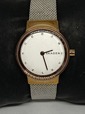 Skagen SKW1101 Women\'s stainless steel Mesh Analog Dial Quartz Wrist Watch JK636 SKAGEN skw6100 Analog Watch - Walmart.com main image 4