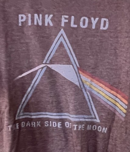 Camiseta Pink Floyd Old Navy Collectibilitees Marrón Manga Corta Unisex Talla S - Imagen 2 de 4