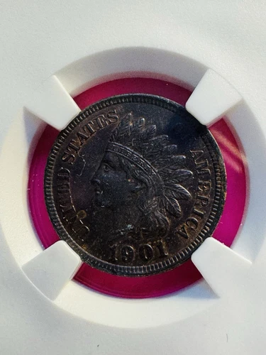 1901 INDIAN CENT NGC UNC DETAILS CLEANED KEY DATE