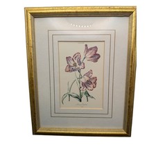 Stampa botanica vintage Keizer Leopoldus Tulipa XXII oro dorato cornice arte