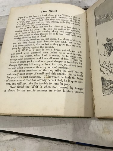 Jungle Stories Blackie and Son Limited, VTG CHILDREN BOOK 1930s - Picture 8 of 12