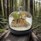 Foto 1 di 10
