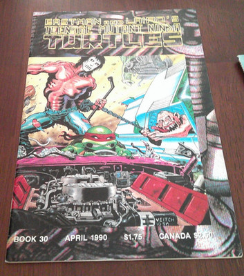 Teenage Mutant Ninja Turtles #30, NM , Eastman Laird, TMNT, Mirage Studios 1990