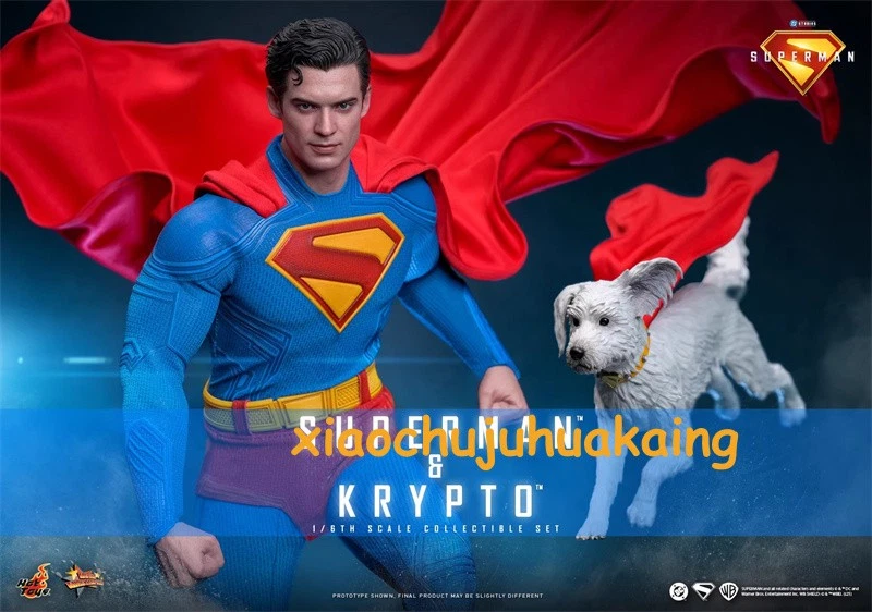 Figura de acción modelo juguete Hot Toys MMS812 2025 Superman Superman y Crypto 1/6 Foto 4 de 4